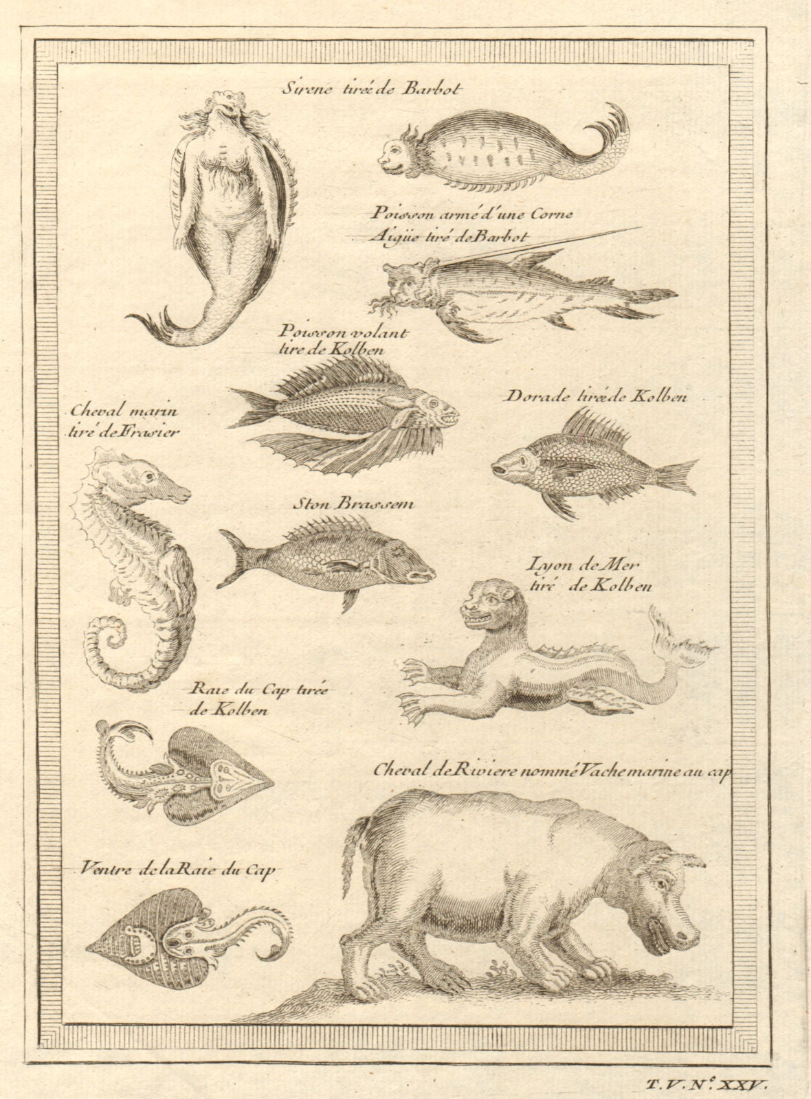 Mermaid seahorse torpedo ray hippopotamus sea lion flying fish swordfish 1748
